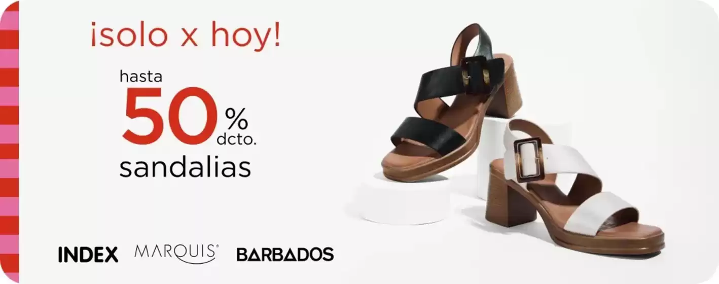 Catálogo Ripley en Viña del Mar | Excelente oferta para cazadores de gangas | 2025-12-25T00:00:00.000Z - 2026-01-08T00:00:00.000Z