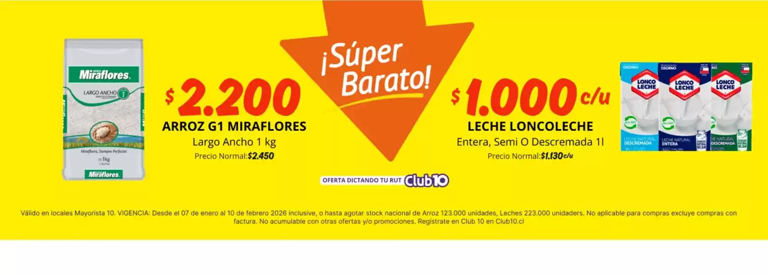 Catálogo Mayorista 10 en Rancagua | Ofertas Mayorista 10 | 2026-01-07T00:00:00.000Z - 2026-02-10T00:00:00.000Z