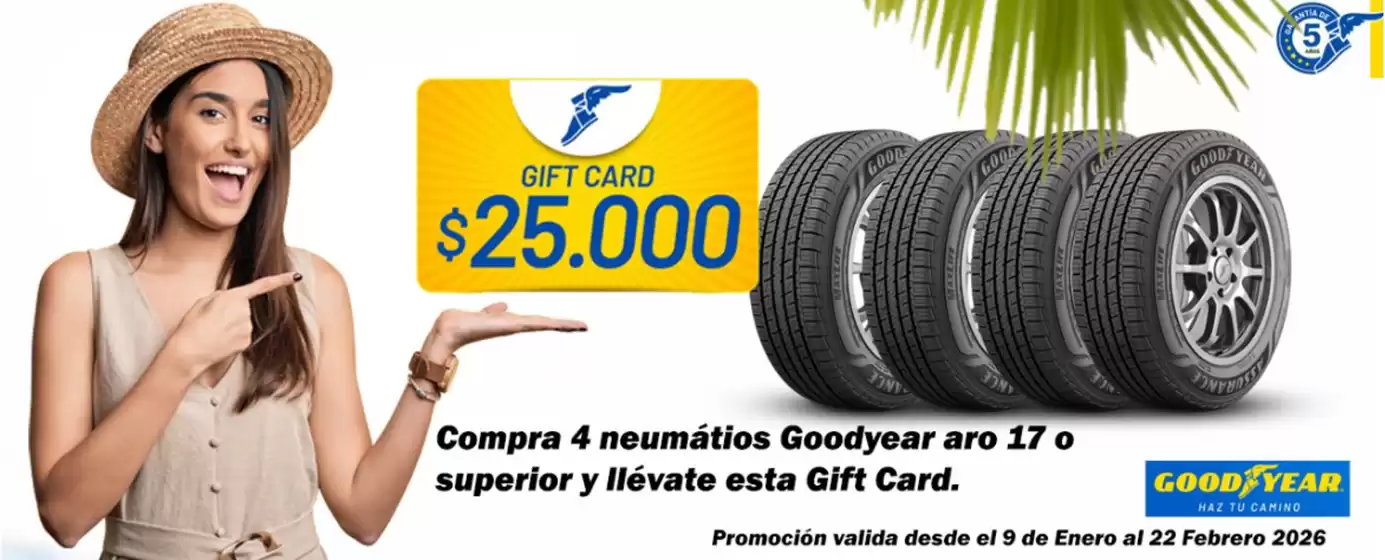 Catálogo Irenesa en Concepción | Gift Card | 2026-01-29T00:00:00.000Z - 2026-02-22T00:00:00.000Z
