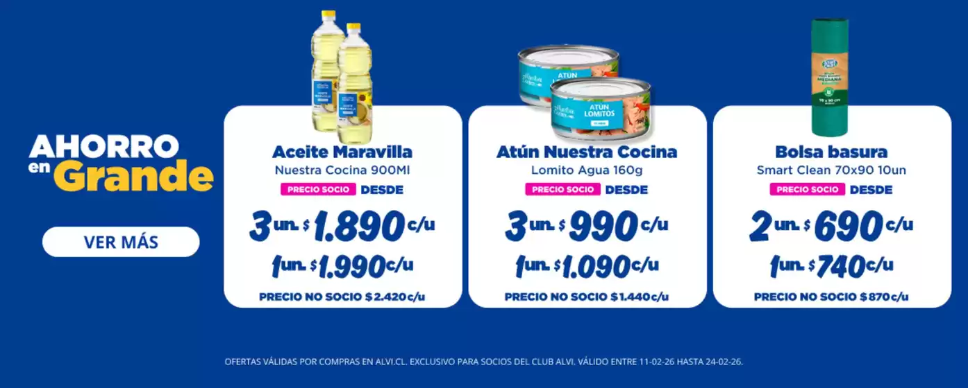 Catálogo Alvi en Coronel | Ofertas exclusivas para nuestros clientes | 2026-02-11T00:00:00.000Z - 2026-02-24T00:00:00.000Z