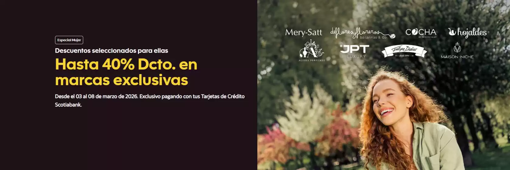 Catálogo Banco del Desarrollo en San Felipe | Hasta 40% dcto. | 2026-03-06T00:00:00.000Z - 2026-03-08T00:00:00.000Z