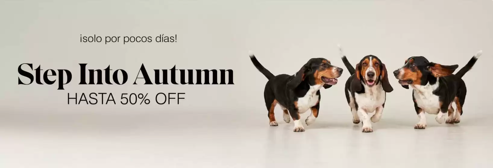 Catálogo Hush Puppies | Hasta 50% Off! | 2026-03-24T00:00:00.000Z - 2026-04-07T00:00:00.000Z