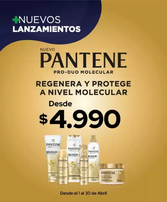 Catálogo Cruz Verde en Valdivia | Ahorra ahora con nuestras ofertas | 2026-04-01T00:00:00.000Z - 2026-04-30T00:00:00.000Z