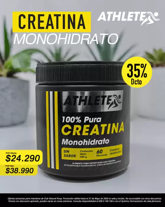 Catálogo Farmacias Knop en Monte Patria | Excelente oferta para cazadores de gangas | 2026-05-13T00:00:00.000Z - 2026-05-31T00:00:00.000Z