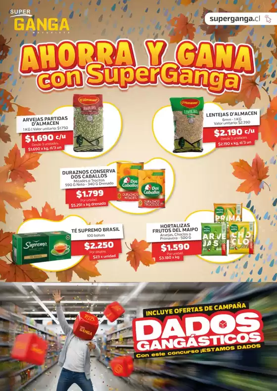 Catálogo Super Ganga en Arica | Ofertas Super Ganga | 2026-05-13T00:00:00.000Z - 2026-05-27T00:00:00.000Z