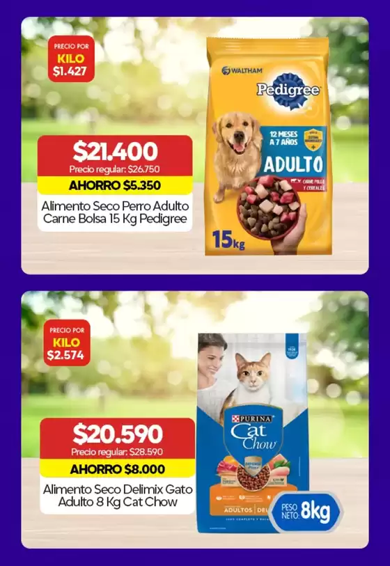 Catálogo Super Bodega a Cuenta | Ofertas especiales para ti | 2026-05-29T00:00:00.000Z - 2026-06-12T00:00:00.000Z