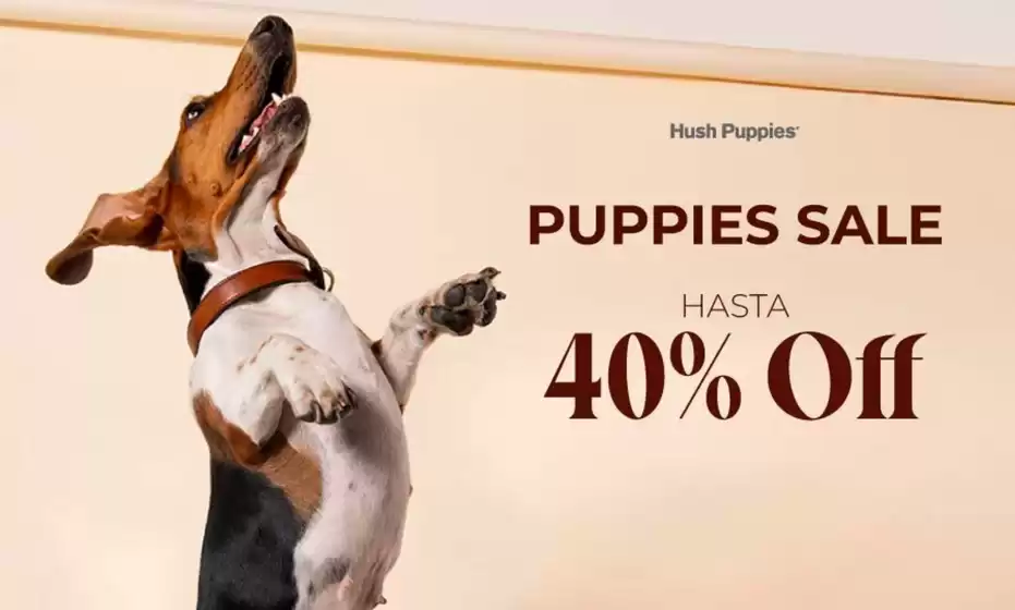 Catálogo Hush Puppies | Hasta 40% Off! | 2026-05-29T00:00:00.000Z - 2026-06-12T00:00:00.000Z