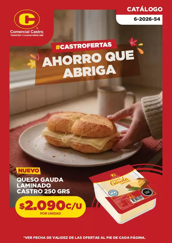 Catálogo Comercial Castro en Talca (Maule) | CATALOGO 54V3 | 2026-06-06T00:00:00.000Z - 2026-06-20T00:00:00.000Z