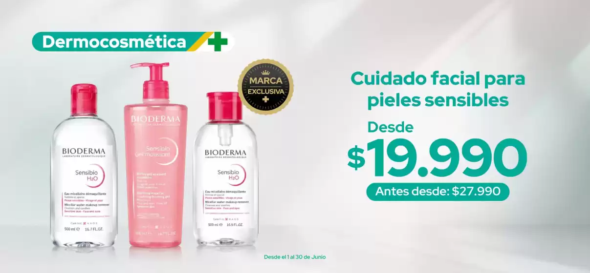 Catálogo Cruz Verde en Puente Alto | Ofertas y gangas exclusivas | 2026-06-01T00:00:00.000Z - 2026-06-30T00:00:00.000Z