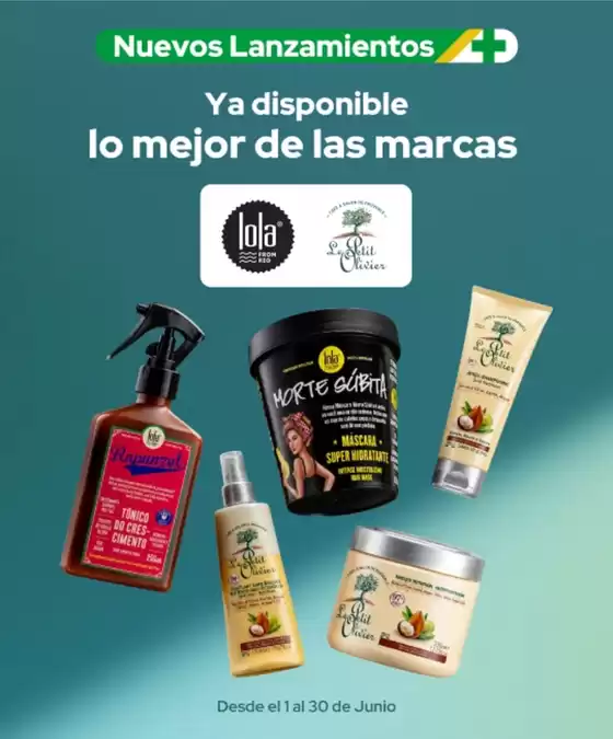 Catálogo Cruz Verde en Chañaral | Excelente oferta para todos los clientes | 2026-06-01T00:00:00.000Z - 2026-06-30T00:00:00.000Z