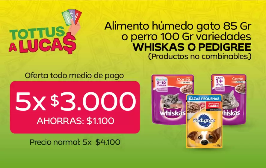 Catálogo Tottus | Promociones actuales | 2026-06-16T00:00:00.000Z - 2026-06-30T00:00:00.000Z