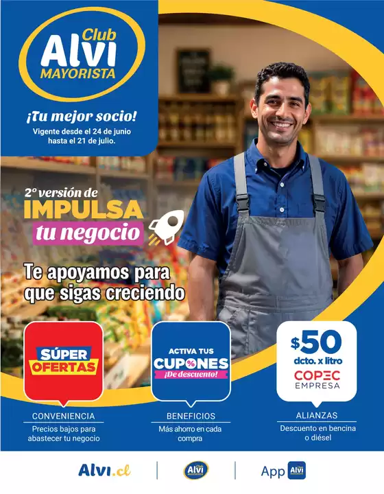 Catálogo Alvi en Longaví | Ofertas Alvi | 2026-06-24T00:00:00.000Z - 2026-07-21T00:00:00.000Z