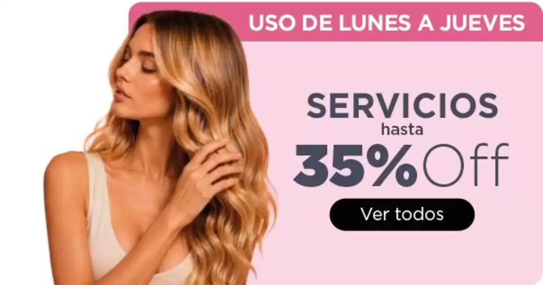 Catálogo Palumbo en Cachapoal | Nuestras mejores ofertas para ti | 2026-07-31T00:00:00.000Z - 2026-08-14T00:00:00.000Z