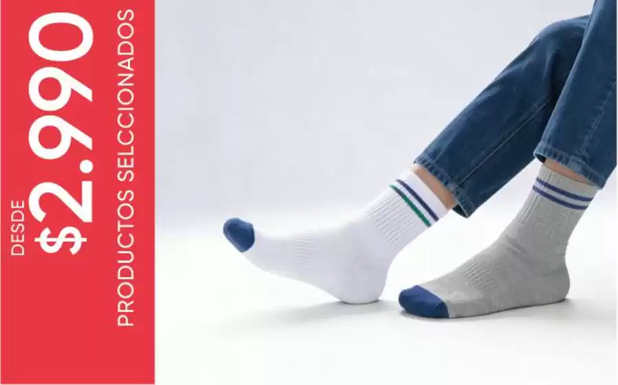 Catálogo Colloky en María Pinto | Ofertas principales para ahorradores | 2026-08-03T00:00:00.000Z - 2026-08-17T00:00:00.000Z