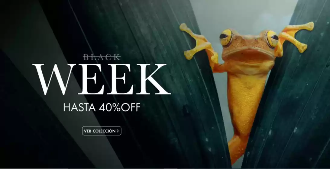 Catálogo Rockford en Chicureo | Hasta 40% Off! | 2026-08-04T00:00:00.000Z - 2026-08-18T00:00:00.000Z