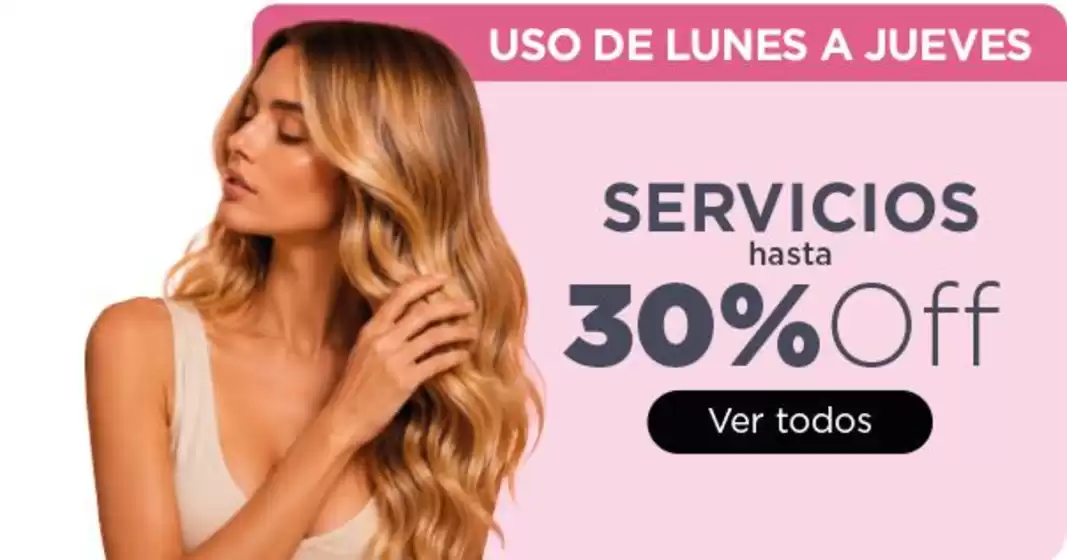 Catálogo Palumbo | Ofertas principales para todos los clientes | 2026-08-07T00:00:00.000Z - 2026-08-21T00:00:00.000Z