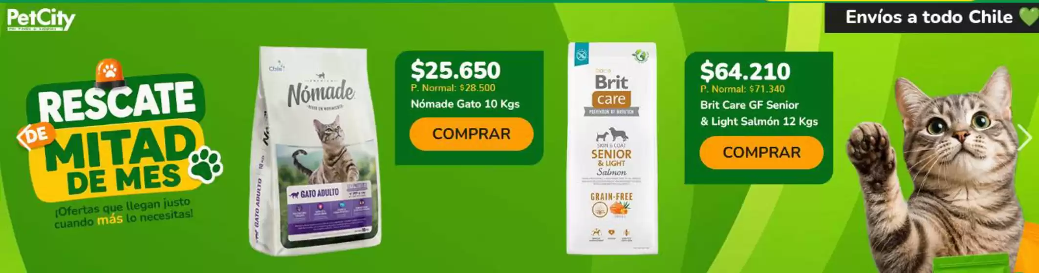 Catálogo Pet City en Cartagena | Ofertas promocional! | 2026-08-17T00:00:00.000Z - 2026-08-31T00:00:00.000Z