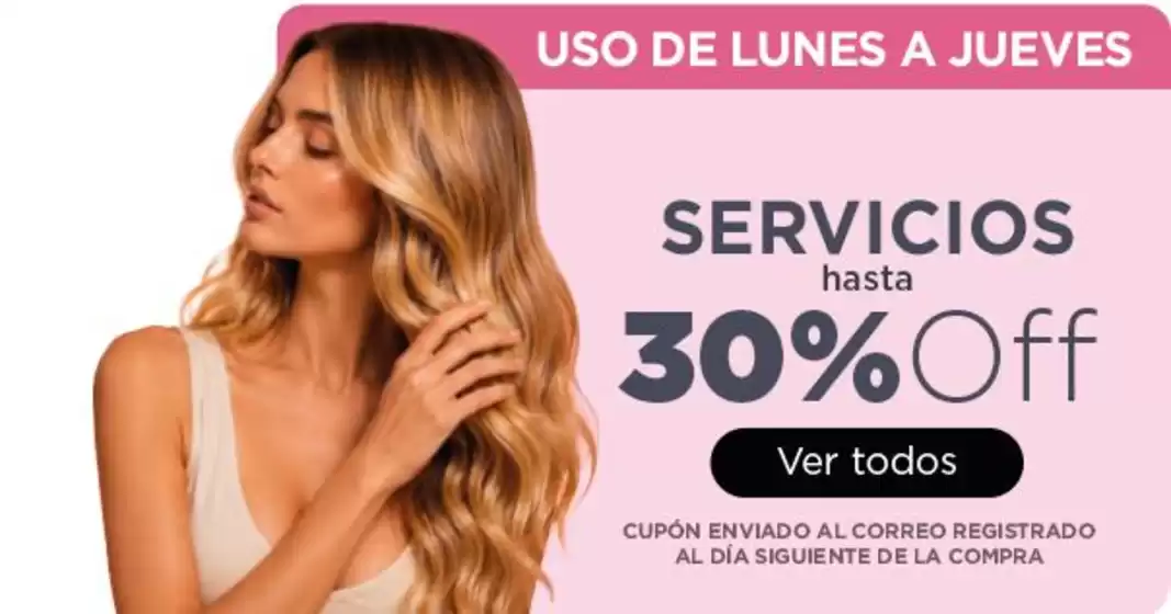 Catálogo Palumbo | Ofertas principales para todos los clientes | 2026-08-26T00:00:00.000Z - 2026-09-09T00:00:00.000Z