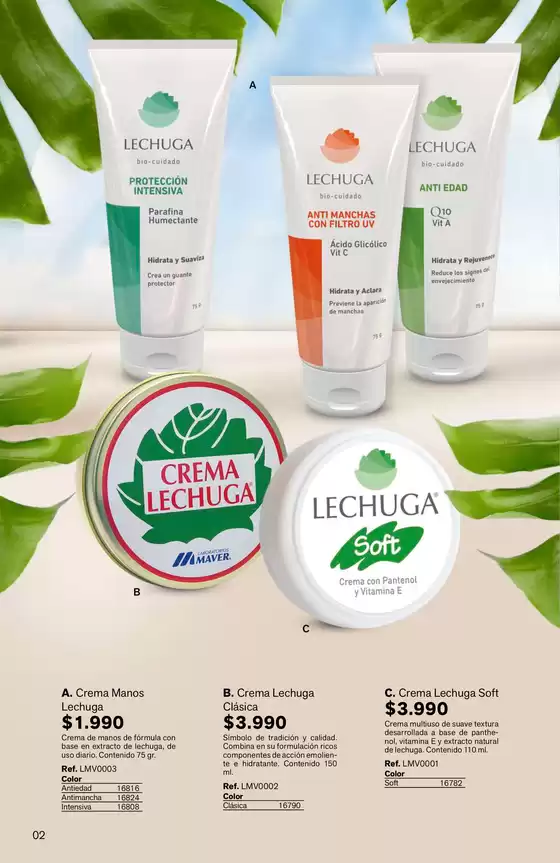 main_flyer image