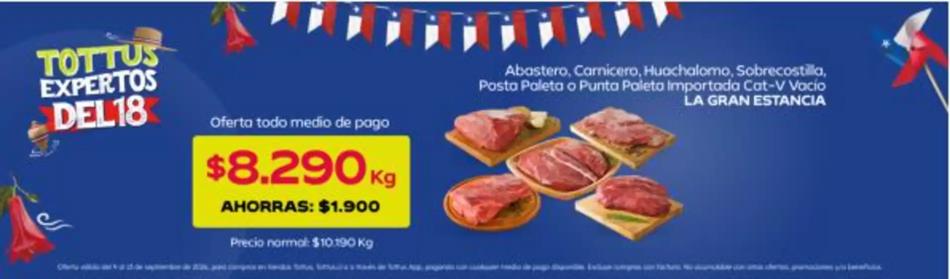 Catálogo Tottus | Ofertas para cazadores de gangas | 2026-09-09T00:00:00.000Z - 2026-09-13T00:00:00.000Z