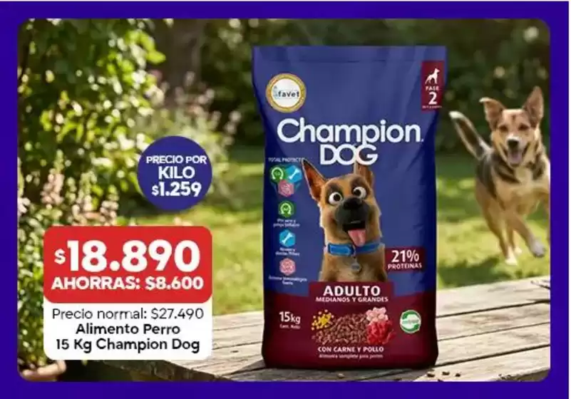 Catálogo Super Bodega a Cuenta en Calera de Tango | Nuevas ofertas para descubrir | 2026-10-06T00:00:00.000Z - 2026-10-20T00:00:00.000Z