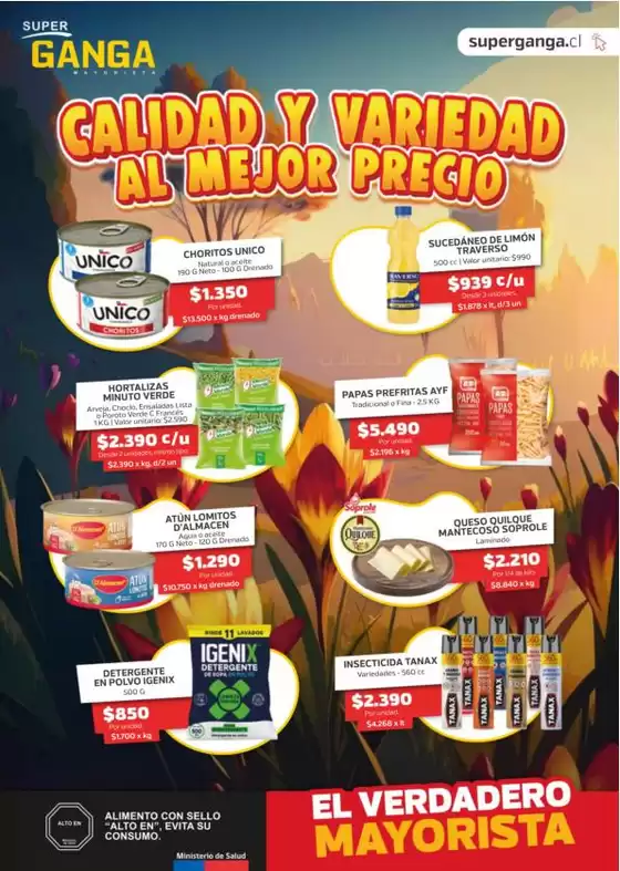 Catálogo Super Ganga | Nuestras mejores gangas | 2026-10-07T00:00:00.000Z - 2026-11-09T00:00:00.000Z