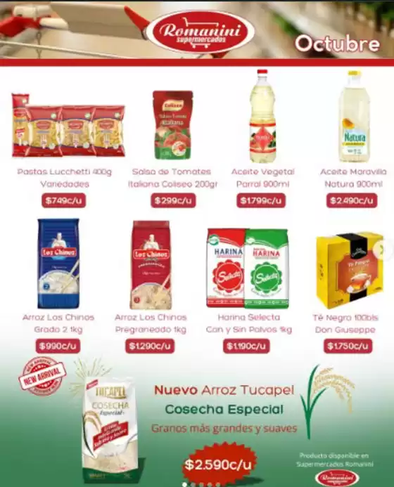 Catálogo Supermercados Romanini en Rancagua | Catalogo! | 2026-10-12T00:00:00.000Z - 2026-10-31T00:00:00.000Z