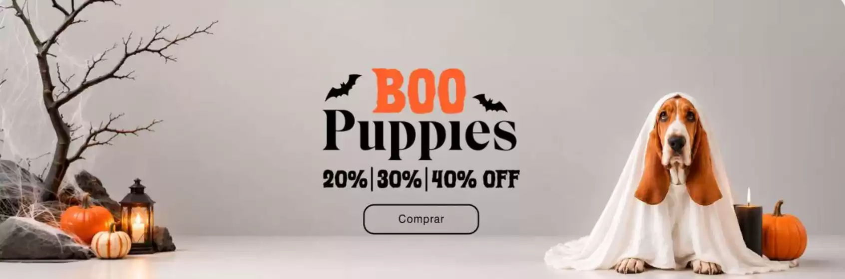 Catálogo Hush Puppies | 20-40% Off! | 2026-10-26T00:00:00.000Z - 2026-11-30T00:00:00.000Z