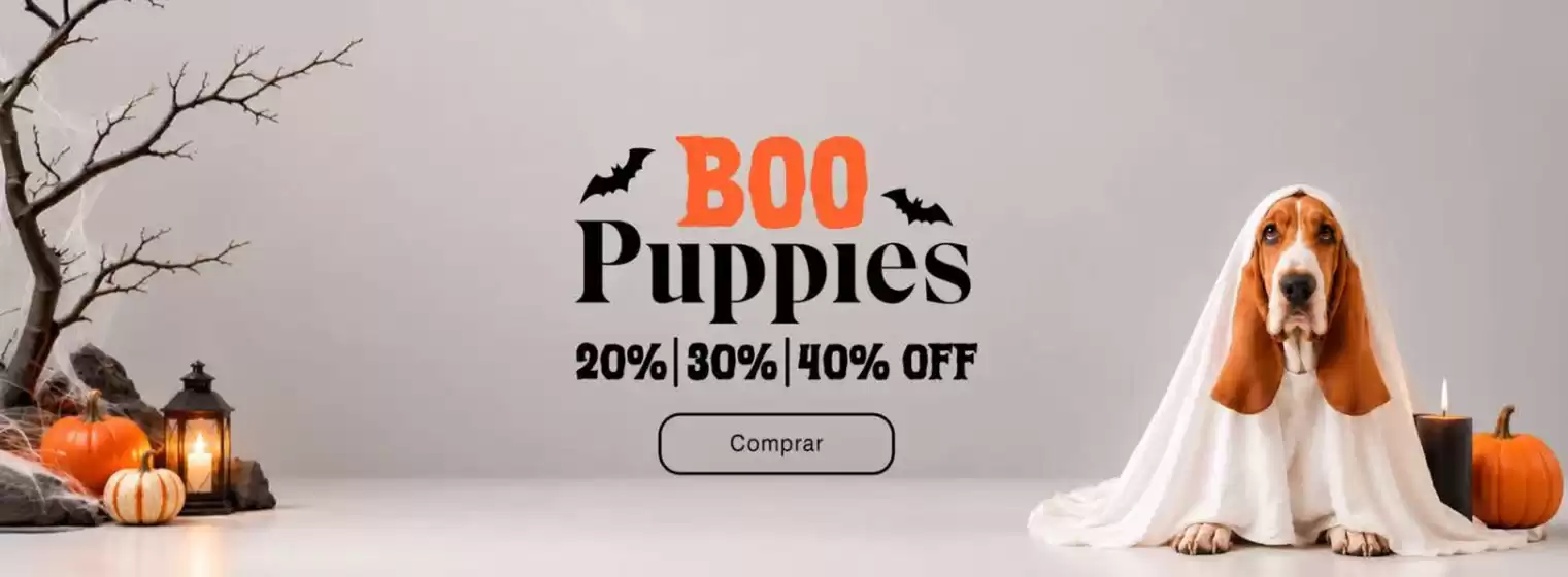 Catálogo Hush Puppies en San Bernardo | Promociones | 2026-10-30T00:00:00.000Z - 2026-10-31T00:00:00.000Z