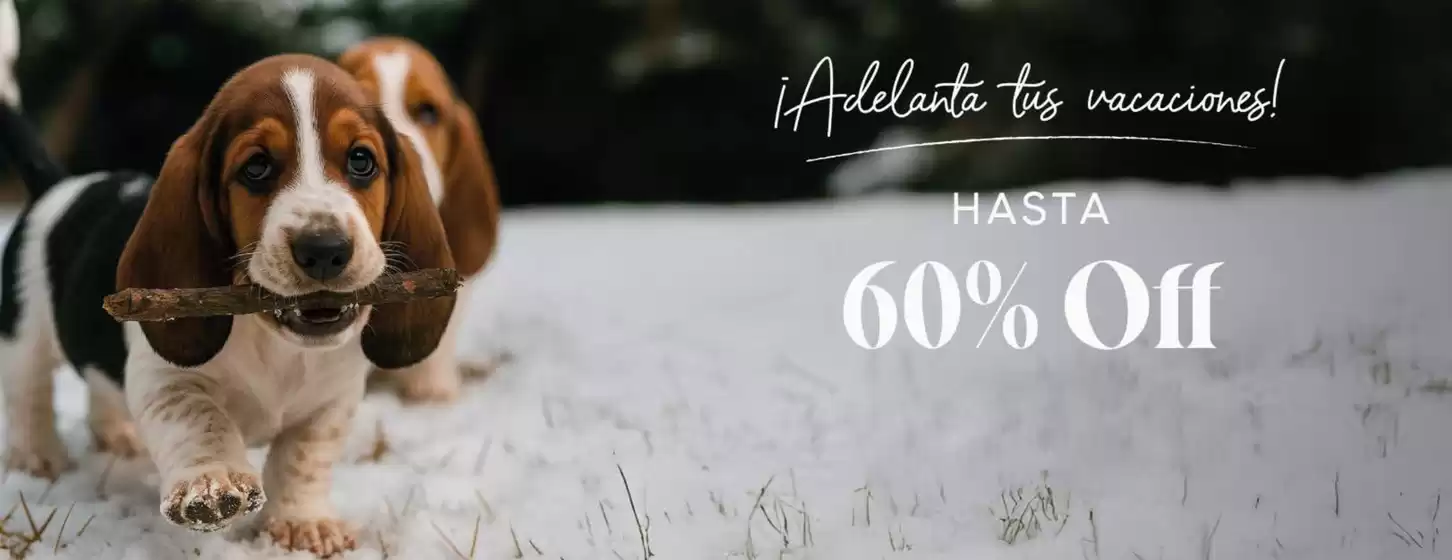 Hasta 60% Off!