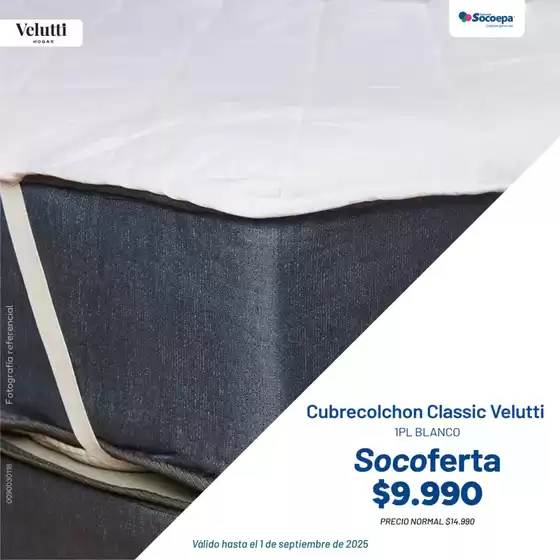 Oferta exclusivos!