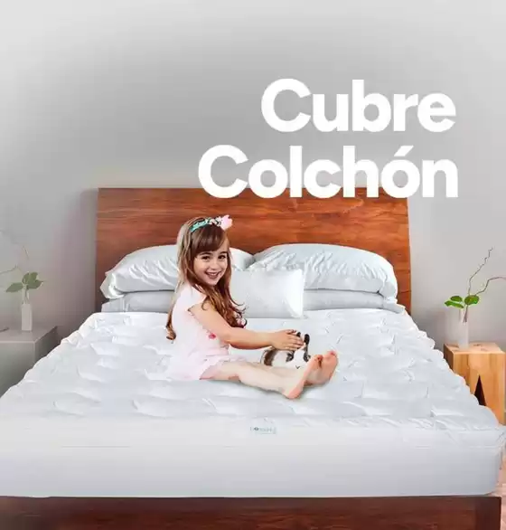 Ofertas principales y descuentos