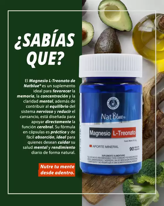 Ofertas y promociones actuales
