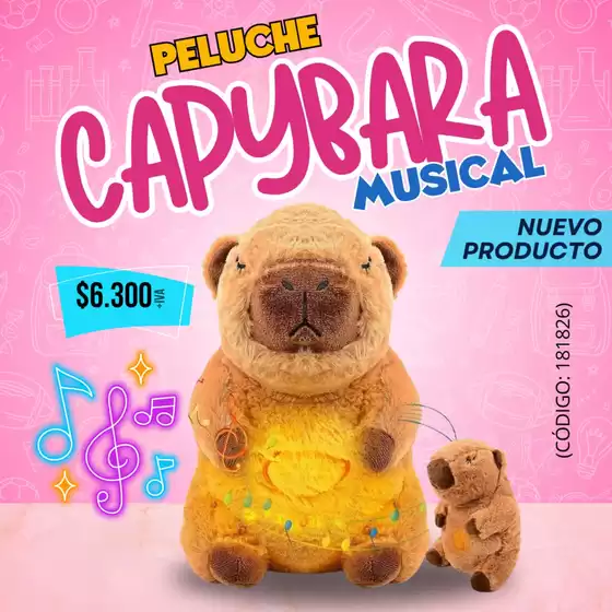 Oferta flash!