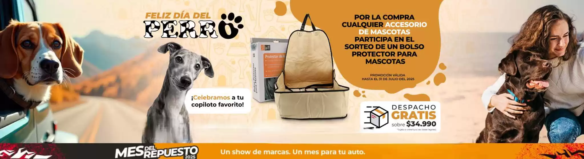 Hasta 80% de dcto!