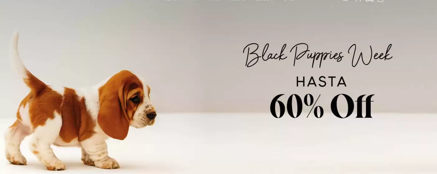 Black puppies week! Hasta 60% Off.