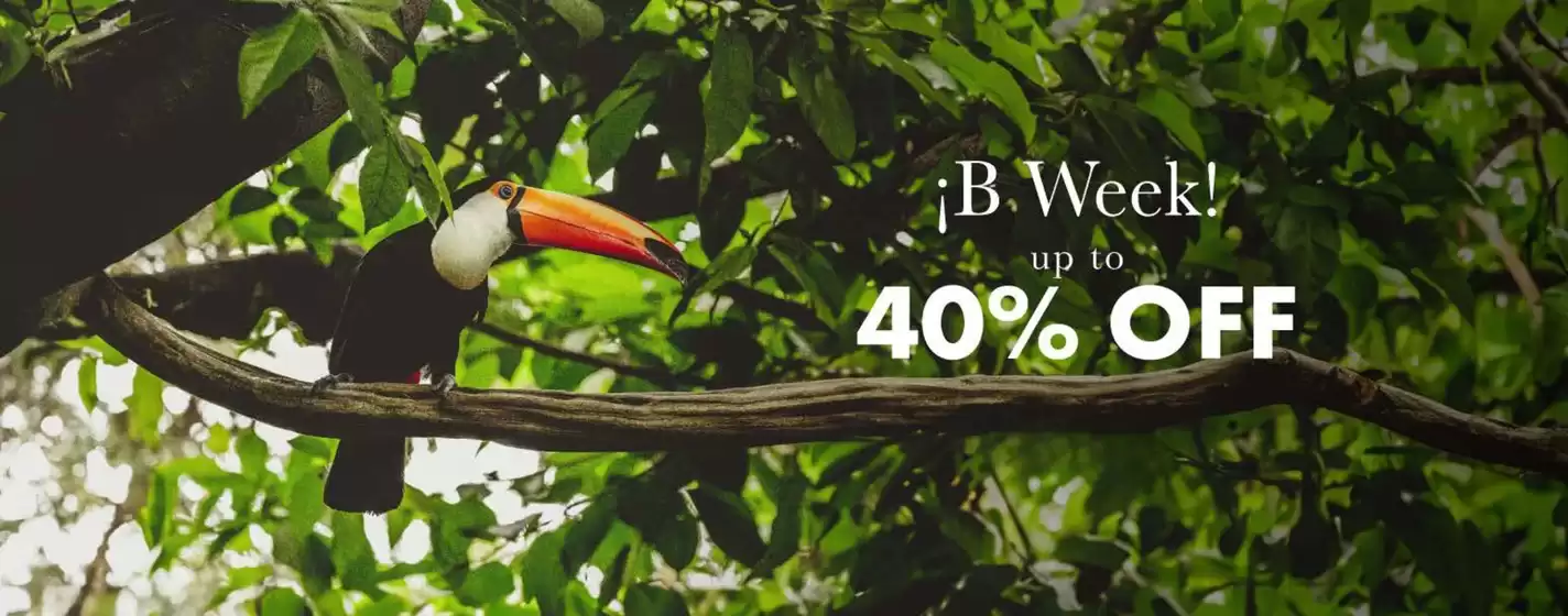 B week! Hasta 40% Off.