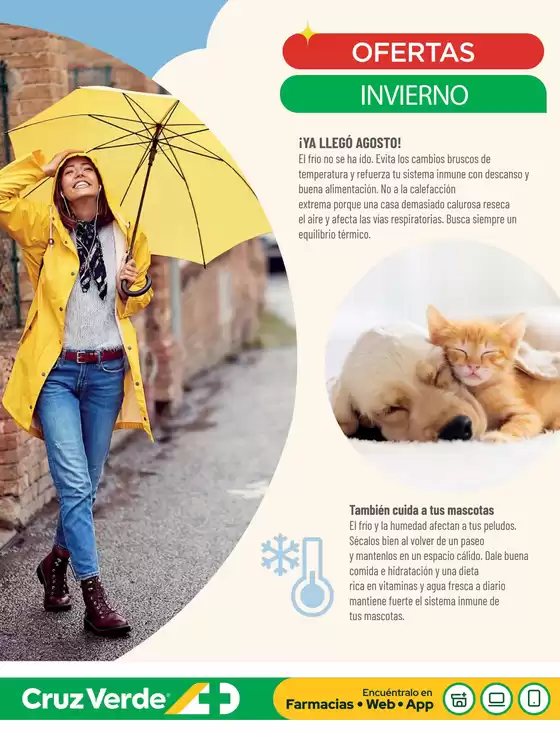 Ofertas principales para todos los cazadores de gangas