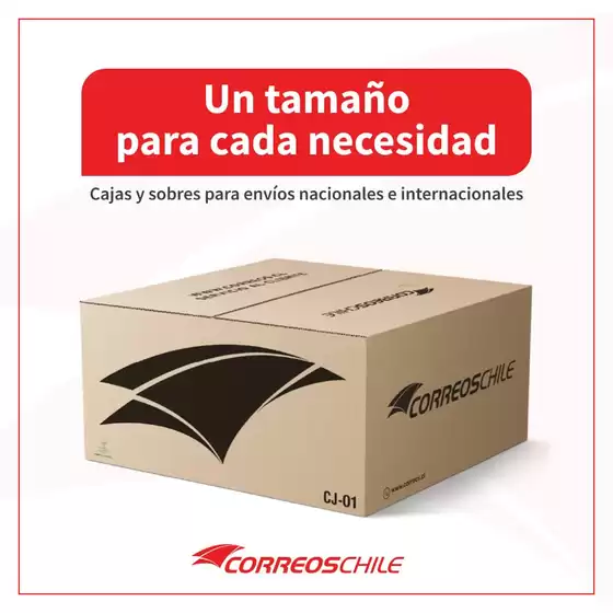 Un tamaño para cada necesidad!
