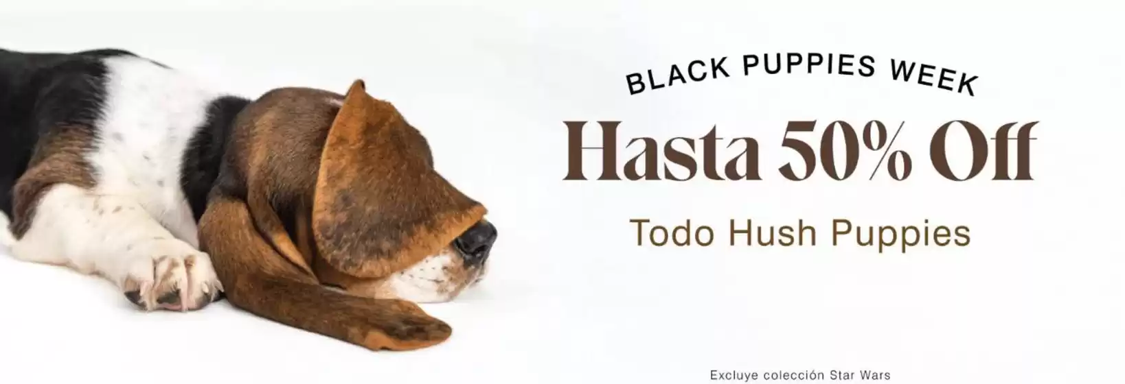 Catálogo Hush Puppies en Providencia | Hasta 50% Off! | 2025-08-04T00:00:00.000Z - 2025-08-19T00:00:00.000Z