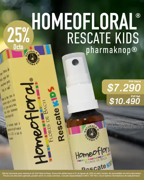 Nuestras mejores ofertas para ti