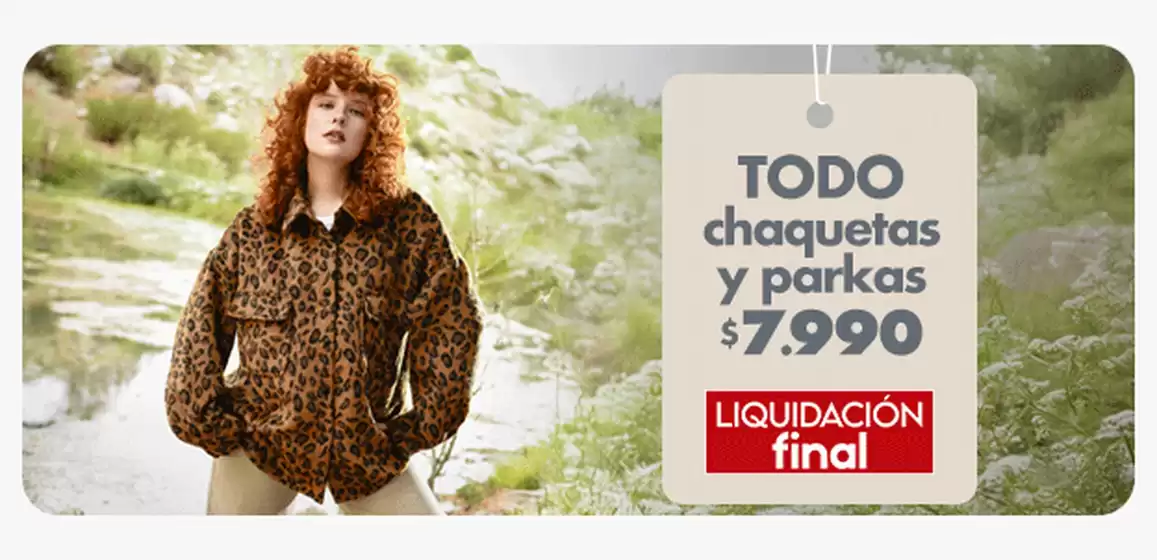 Ofertas para cazadores de gangas