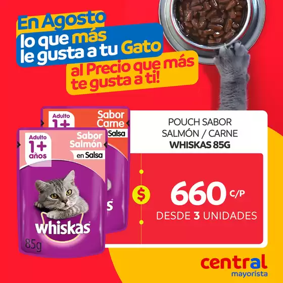 Gangas y ofertas actuales