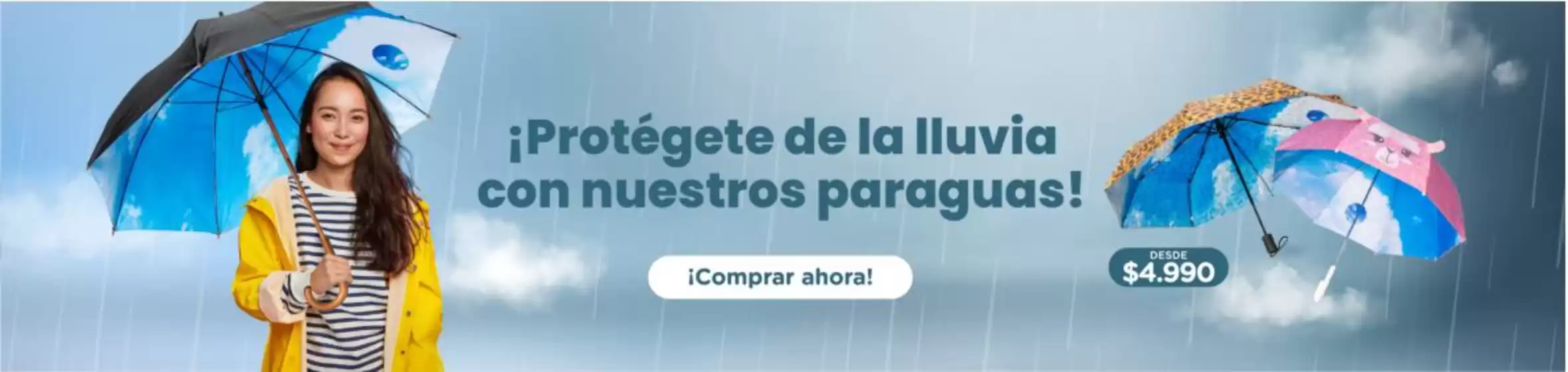 Descubre ofertas atractivas