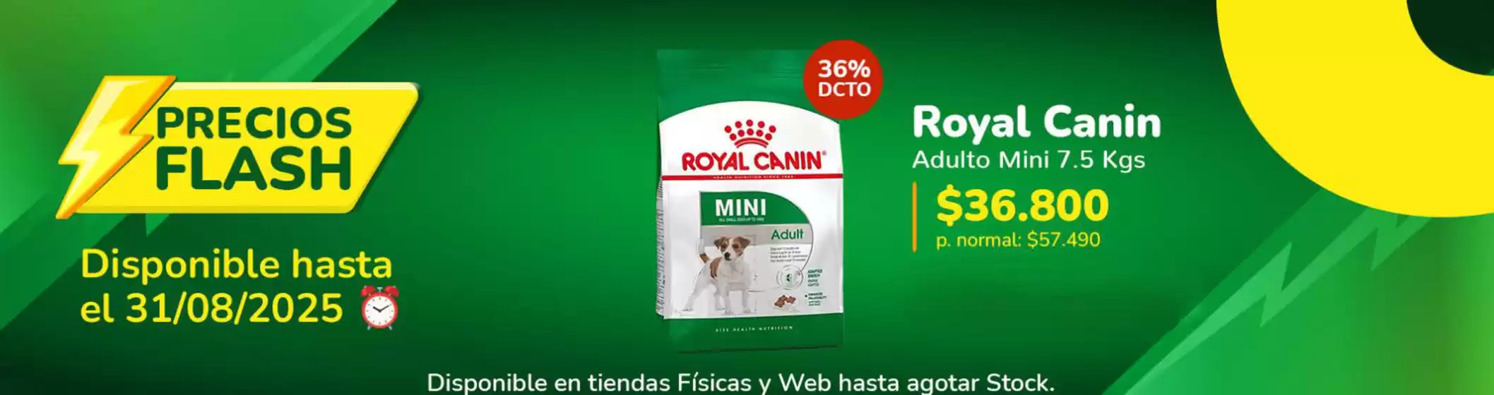 Catálogo Pet City en Temuco | Precios flash!  | 2025-08-26T00:00:00.000Z - 2025-08-31T00:00:00.000Z