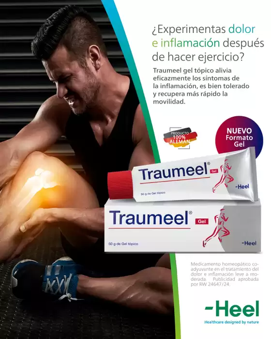Descubre ofertas atractivas