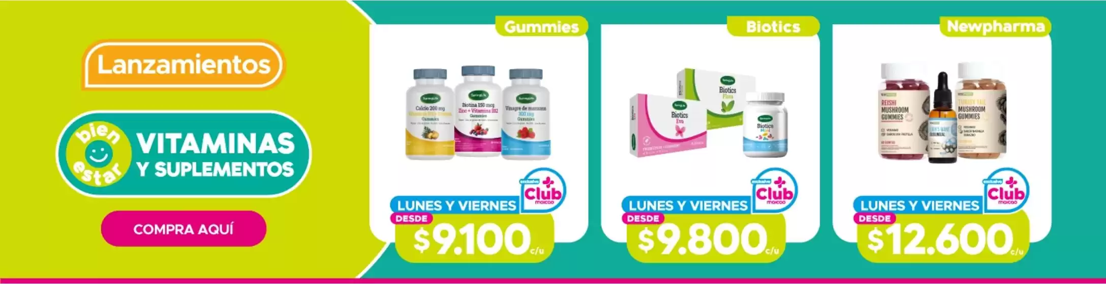 Ofertas y promociones actuales
