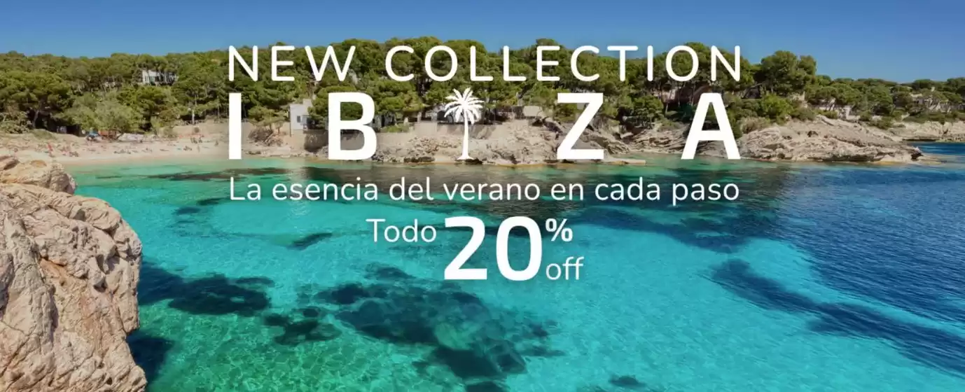 Todo 20% Off!