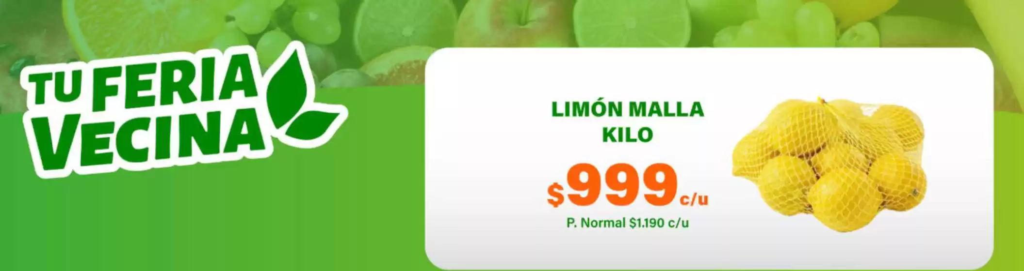 Oferta exclusivos!