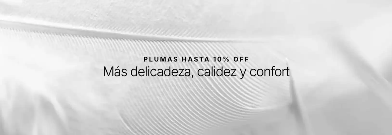 Plumas hasta 10% Off!